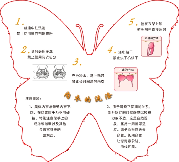 内衣的洗涤图片