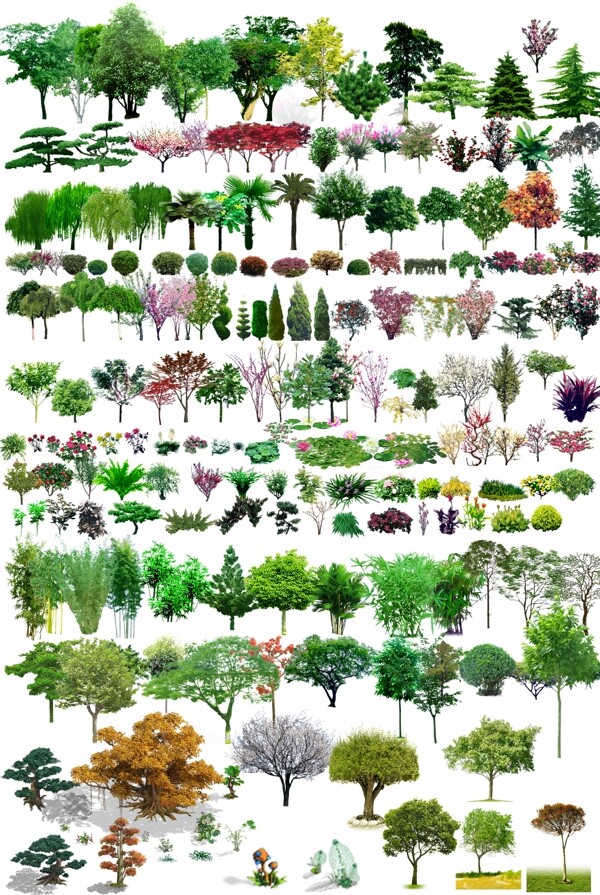树木3D后期树图片