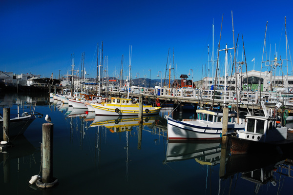 旧金山游艇码头景色图片
