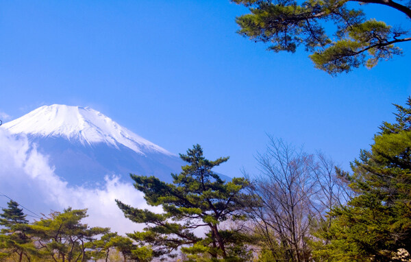 富士山