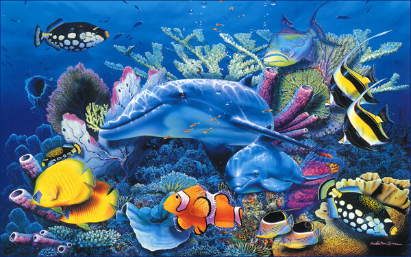 高清海洋动物图片