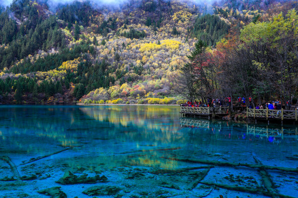 九寨沟五花海图片