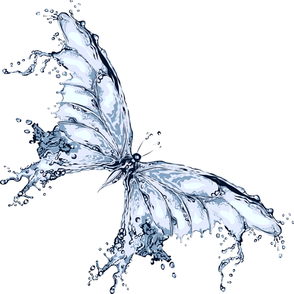 水做的蝴蝶图片