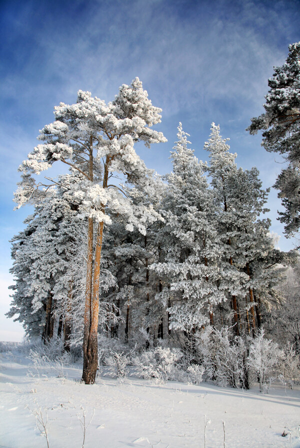 冬季风景摄影