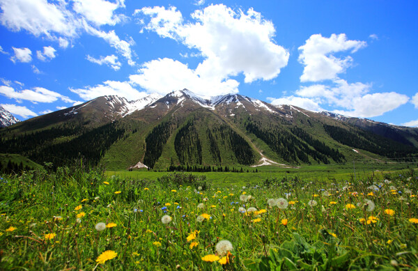 新疆天山风景