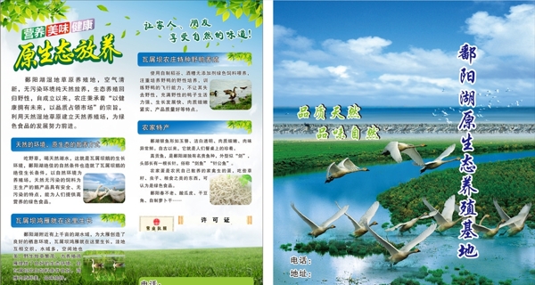 鄱阳湖原生态养殖基地