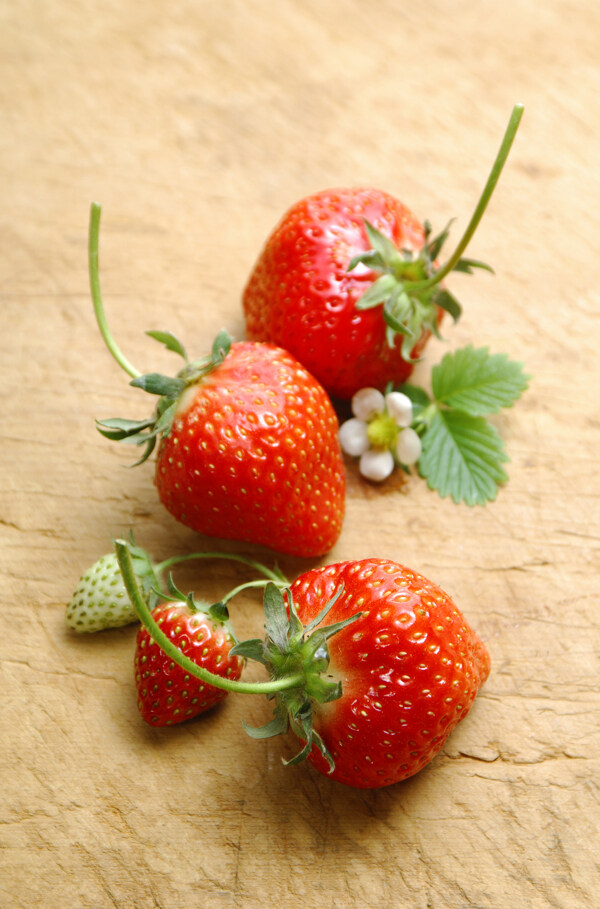 草莓048图片