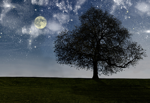 夜晚月亮星空大树草地高清壁纸图片