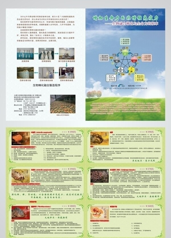 台湾孢子粉折页图片