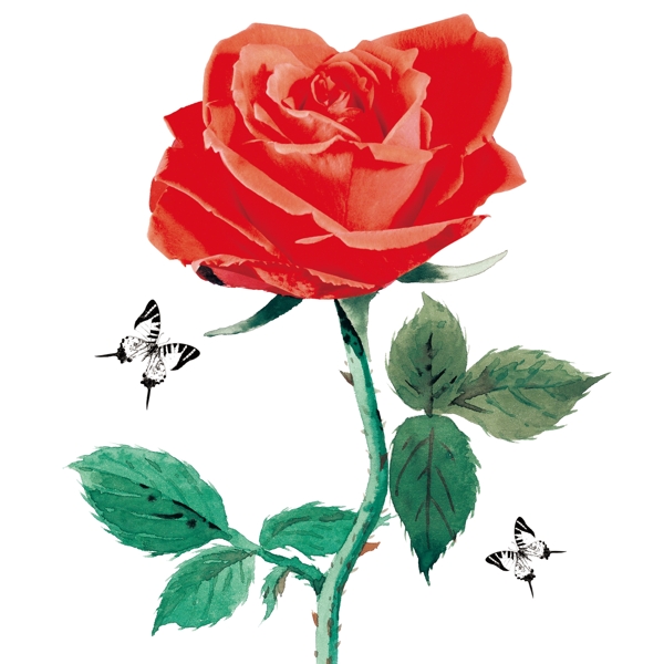 装饰画手绘玫瑰图片