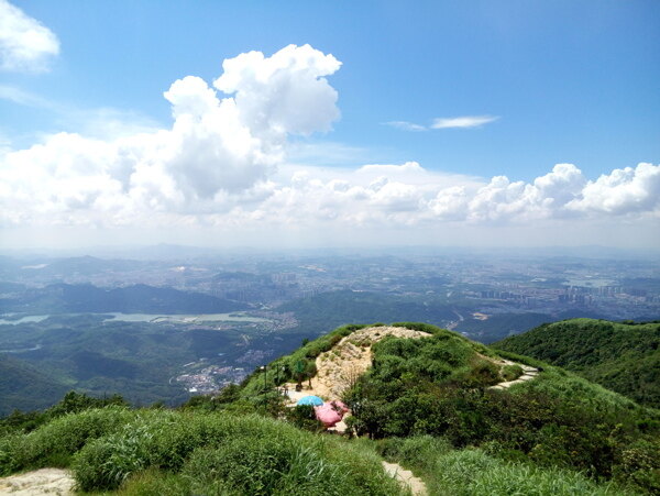 梧桐山景