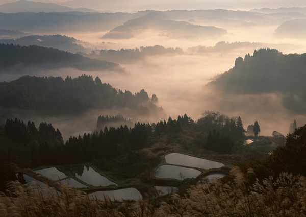 夕阳下的梯田