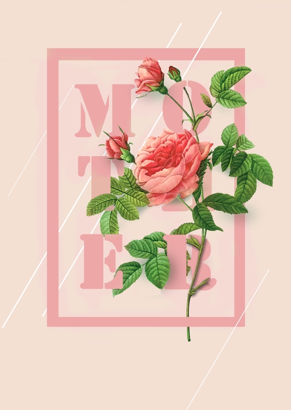 粉色立体玫瑰海报