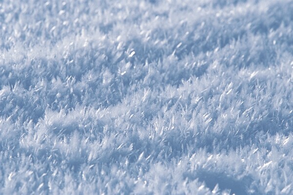 雪地特写摄影图片