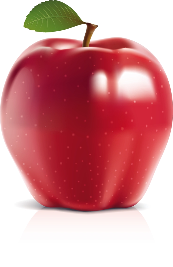 可与照片媲美的青苹果和红苹果矢量素材