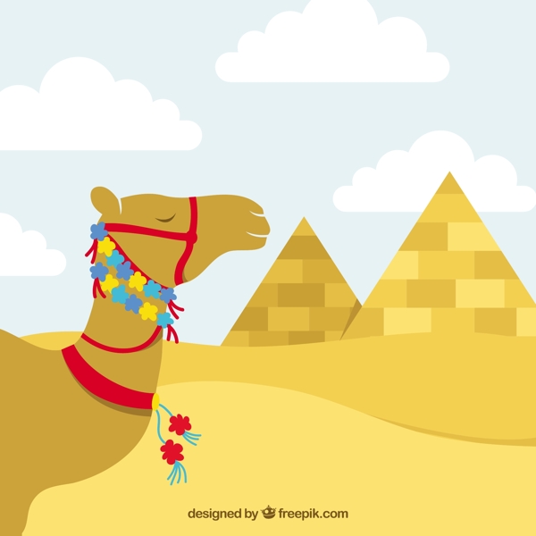 埃及花装饰的骆驼
