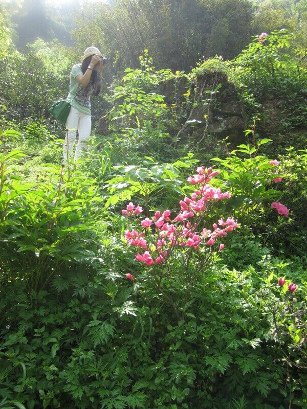 美女风景图片