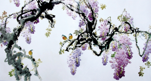 紫藤萝花鸟图片