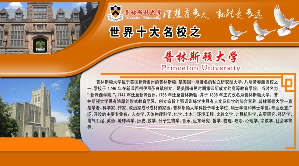 普林斯顿大学介绍图片