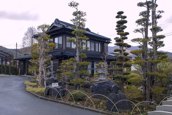 日本忍野八海风景