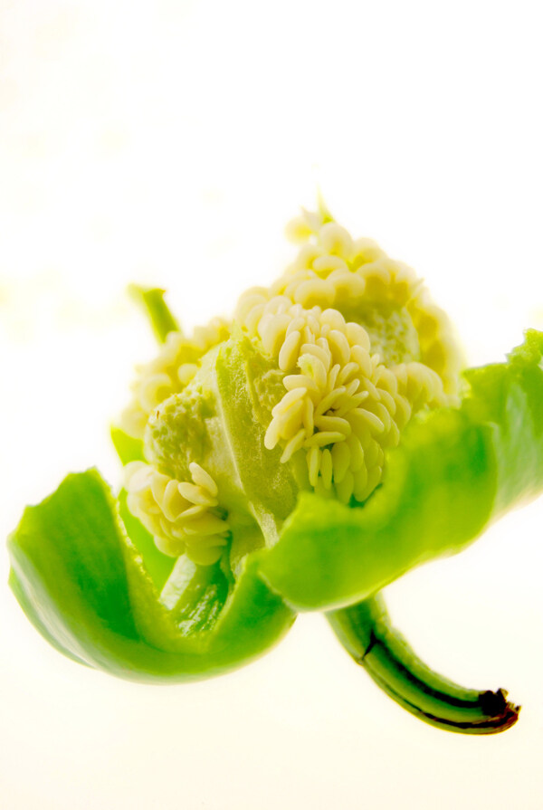 青椒高清晰蔬菜图片
