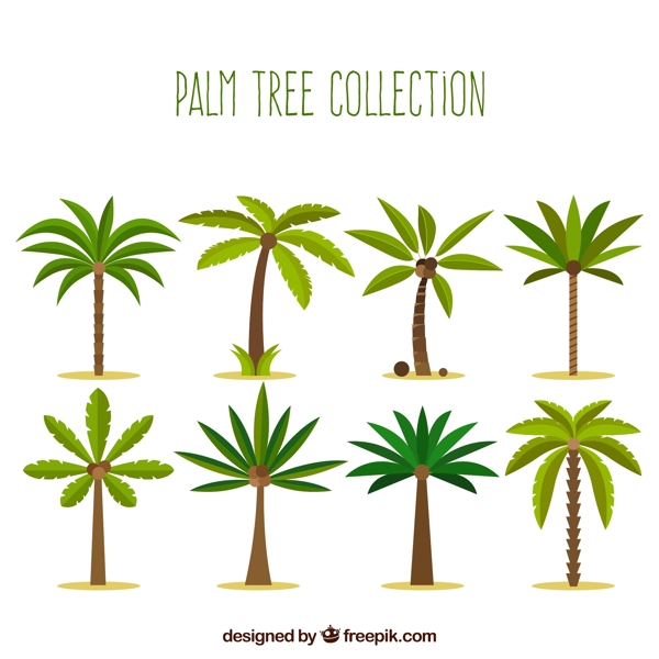 8款绿色棕榈树设计矢量素材