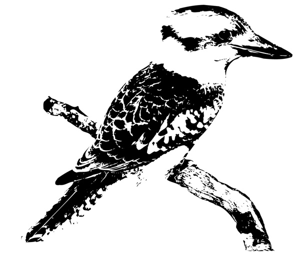 全球首席大百科水墨黑白笔刷鸟拓印