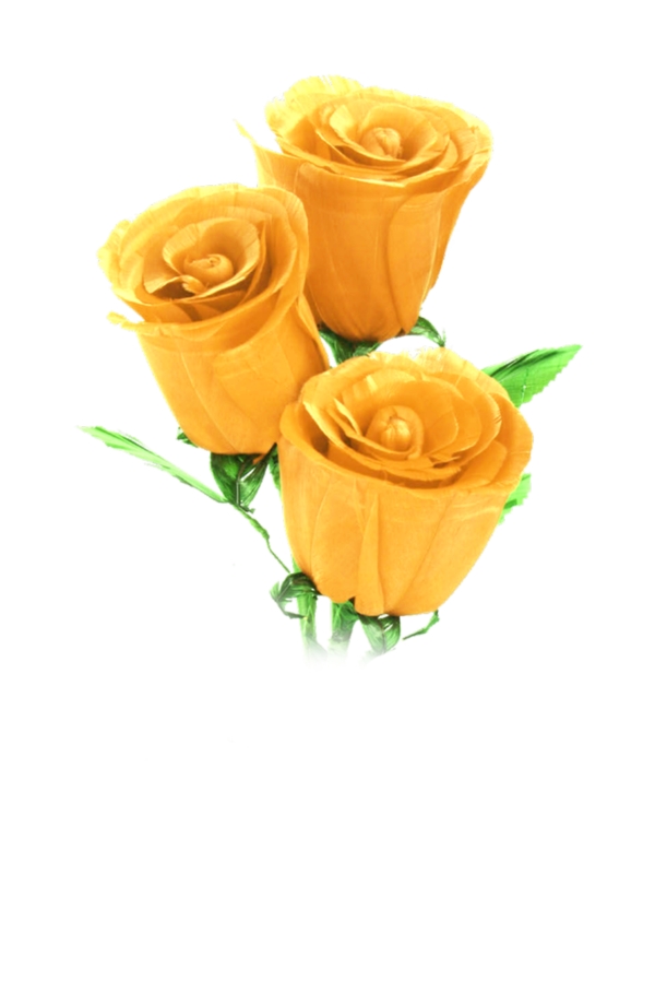 黄色玫瑰花素材