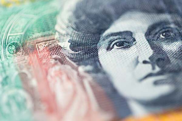 钞票上的美女头像图片