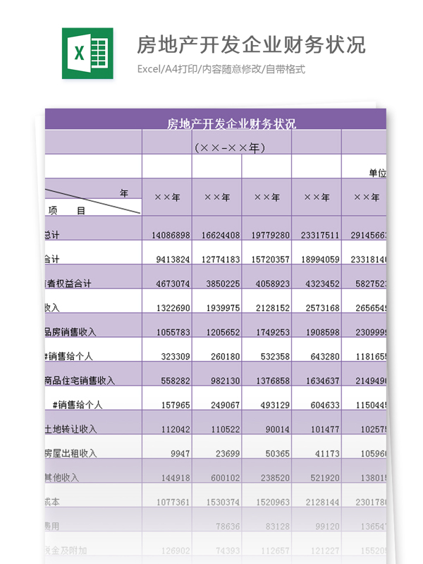 房地产开发企业财务状况excel模板