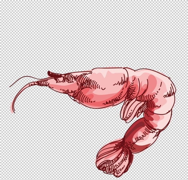 红色手绘线条龙虾