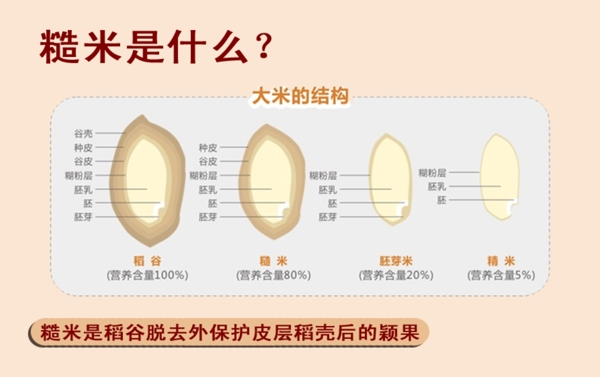 分析米