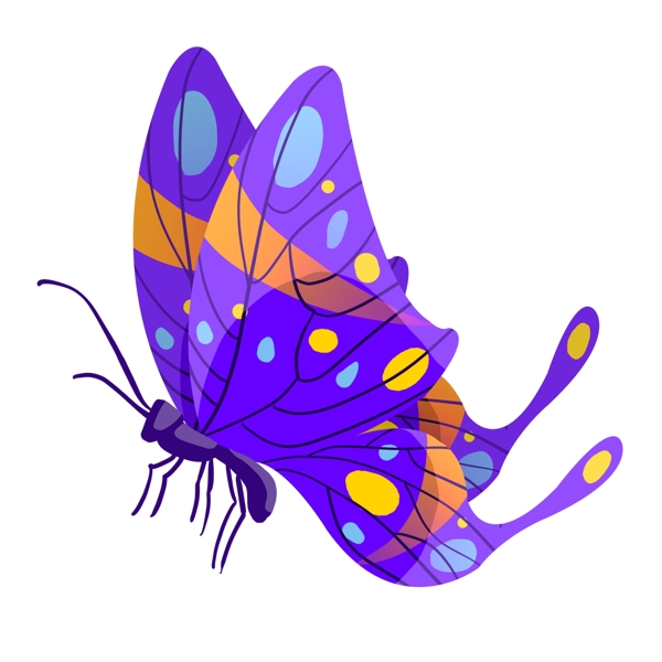 紫色的动物蝴蝶插画