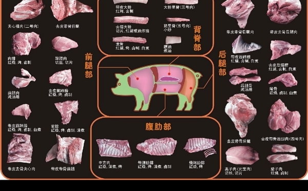 超市猪肉分割图CDR文件图片