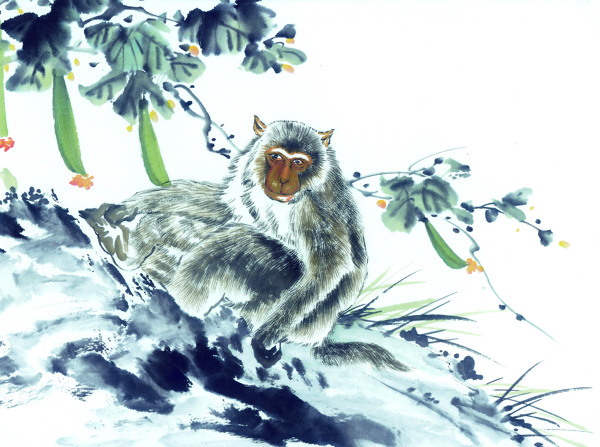 猴子十二生肖中国画0056