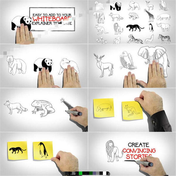 白板系列素材之动物角色与手绘手势的AE模板