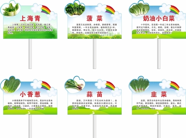 蔬菜牌图片