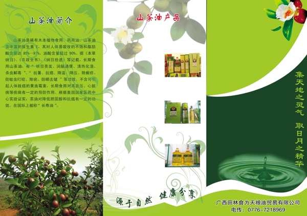 山茶油宣传册图片