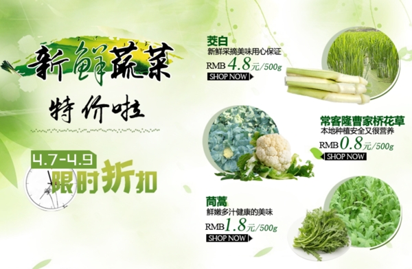 蔬菜特价促销活动海报