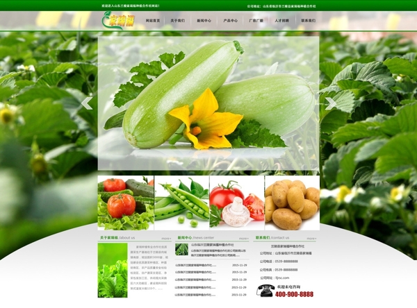 蔬菜种植企业网页