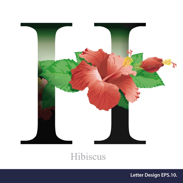 热带花卉大红色英文字母字体设计