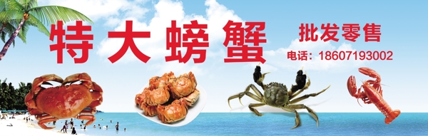 螃蟹展示海报