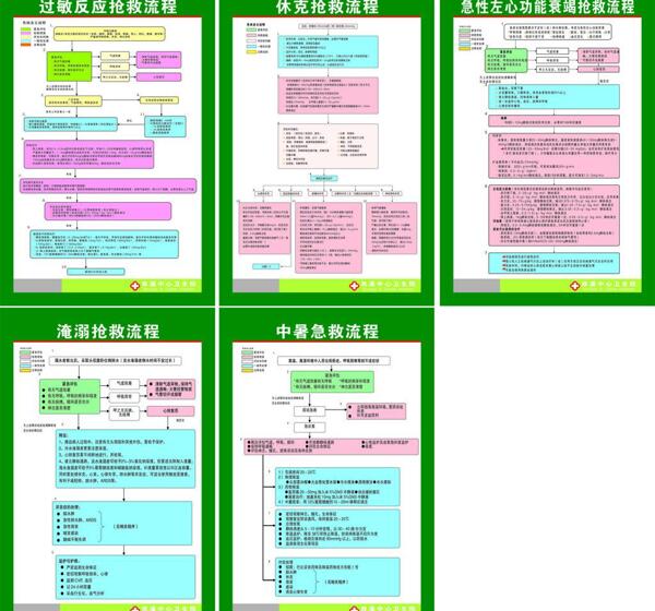 医院抢救流程图图片