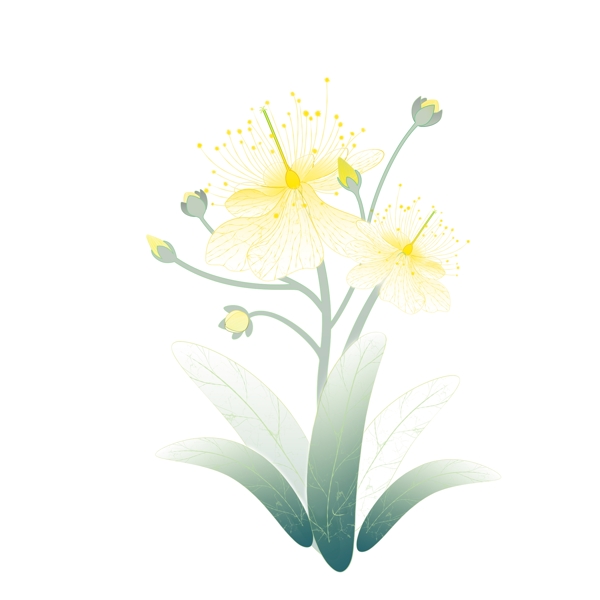 唯美手绘一朵黄色的花设计