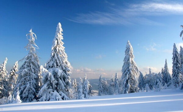 高清银装素裹雪景