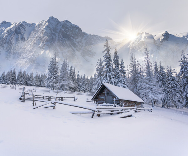冬季里的阳光与雪景图片