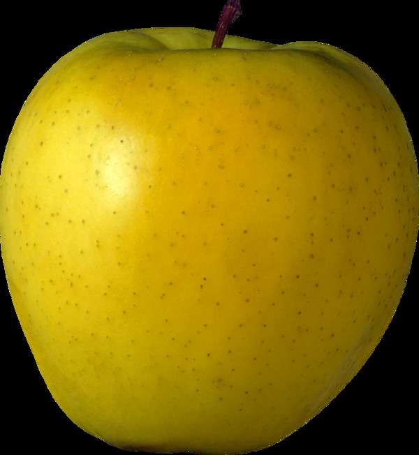 漂亮黄色苹果图片免抠png透明图层素材