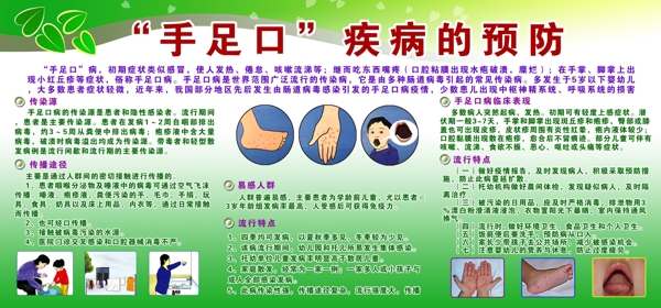 手足口疾病的预防