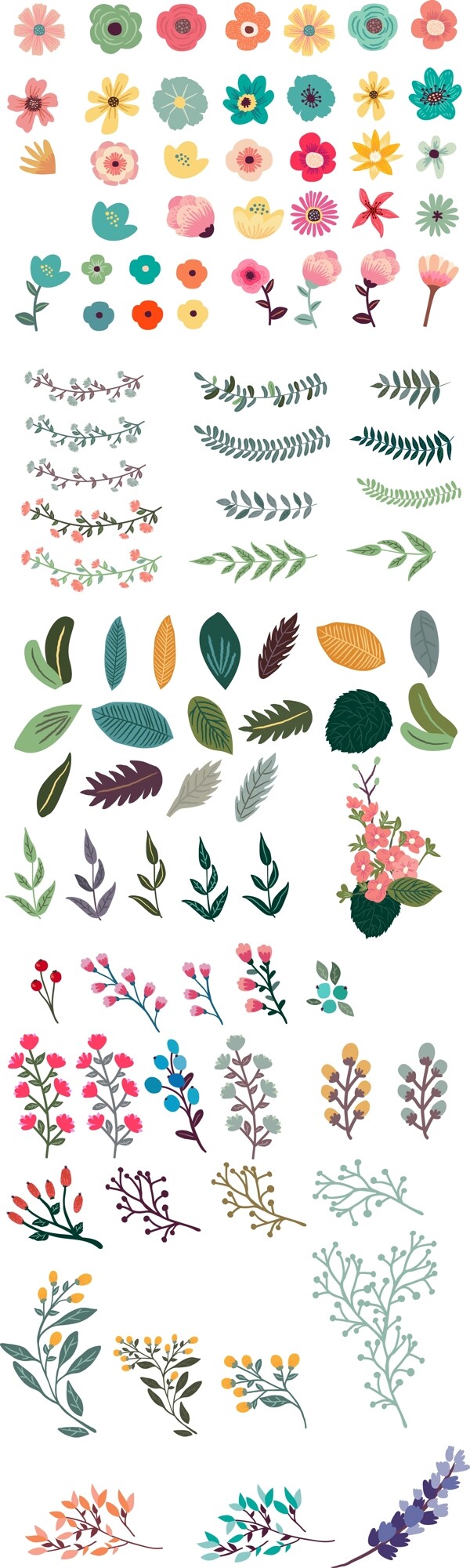水彩绘彩色植物插画