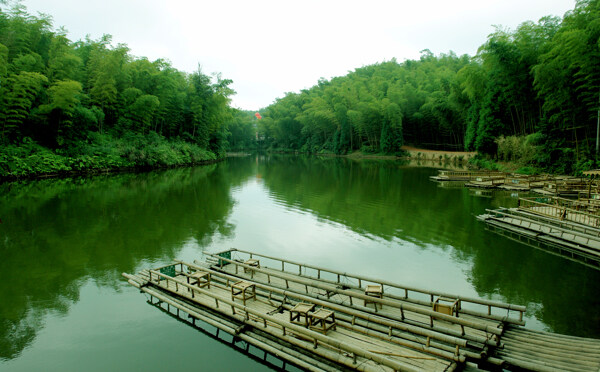 竹海风景图图片